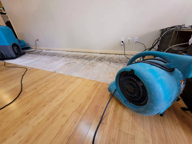 Reliable Basement Flood Cleanup contractor in Clarkston, MI by Hirex Water Damage
