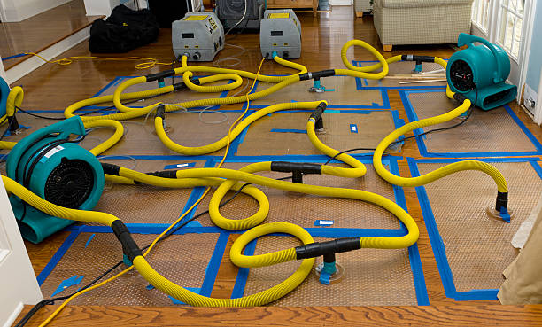 Professional Basement Flood Cleanup technician working in Clarkston, MI